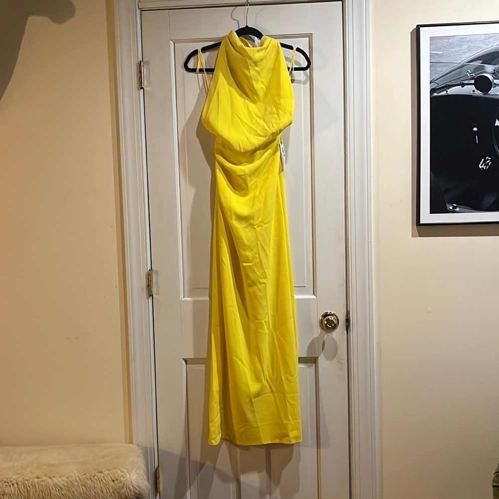 Proenza Schouler backless dress. New never been worn